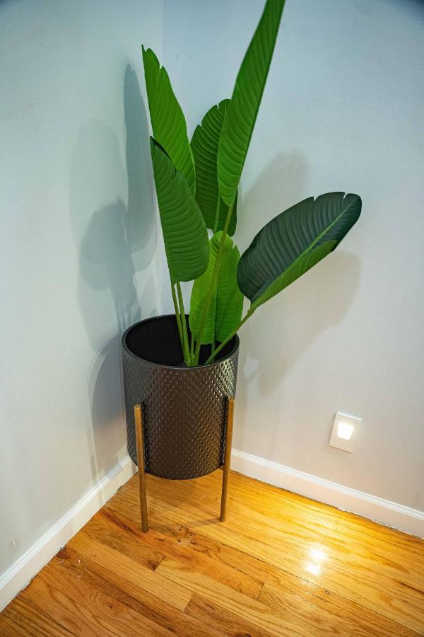 4 Bed Luxury Apt Long Or Short Stay New York Exteriör bild